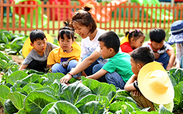 如何把新時(shí)代大中小學(xué)勞動(dòng)教育落到實(shí)處？教育部9問答詳解