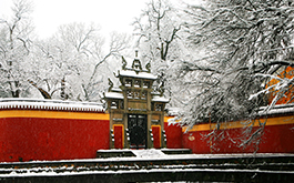 走出省門取真經(jīng)，開拓市場(chǎng)謀發(fā)展——黔、豫、藏、深四省市學(xué)校文化建設(shè)考察學(xué)習(xí)
